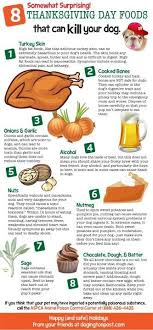 Bad Table Foods For Your Dog Dog Food Recipes Pet Hacks Pet Health