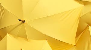 A branding firm will then create the design elements and brand support necessary your team will be proud, which means they will provide better service, and the circle of life continues. What Does Branding Mean Umbrella Creative