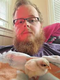 Protective dog breeds for bird safety