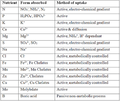 You know, because of the 'micro' prefix. Commercial Hydroponic Farming A List Of 43 Important Hydroponic Fertilizers