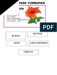 Ciri dan karakteristik cerpen (cerita pendek) pada unsur plot cerita, panjang kata, pemilihan kata & penokohan. Ciri Bunga Raya