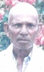 Deadly 'killer bee' attacks in Guyana