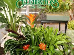 Check spelling or type a new query. Celebrations The Florist