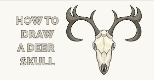 White buck head sculpture deer horns faux taxidermy wall mounted antler trophy. How To Draw A Deer Skull Really Easy Drawing Tutorial