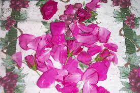 Combine equal parts rose leaves and equal parts. How To Make Rose Petal Tea Delishably