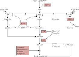 References In Gout The Lancet