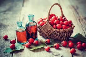 Les 6 Bienfaits De L Aubepine Sirop Fait Maison Plantes Sauvages Comestibles Naturiste
