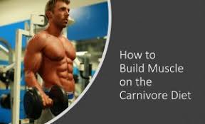 build muscle on the carnivore t