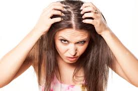 Circulation to the scalp can lead to hair loss as well. Hair Follicles Clogged By Sebum Best Ways To Remove Buildup Lovetoknow