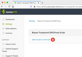 How to bypass netflix proxy error?. to do that, you will have to use a vpn service that works with netflix. How To Bypass Transparent Dns Proxy Cactusvpn
