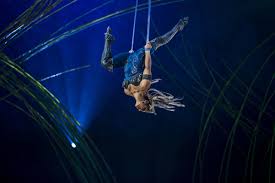 Tickets Amaluna In San Francisco At Under The Big Top