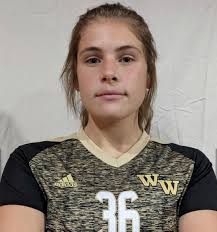 Western Wayne Wildcats