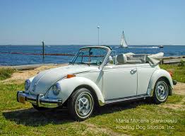 Image result for Rallye Yellow 1976 Volkswagen