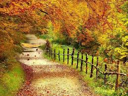 Image result for scenery picture