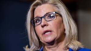 Liz Cheney: why did the Republican party oust her?