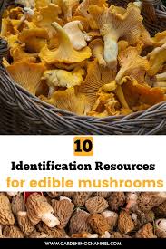 Maybe you would like to learn more about one of these? Is This Mushroom Edible 10 Identification Resources Gardening Channel