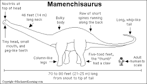 mamenchisaurus print out coloring pages jurassic coloriage de pelle