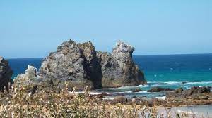 Winter is the optimum time of year for surfing here. Camel Rock Picture Of Camel Rock Bermagui Tripadvisor