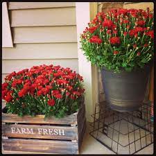 12 Affordable And Cute Fall Front Porch Decorating Ideas Fall Front Porch Decor Front Porch Decorating Fall Porch