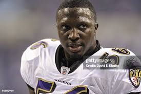 1,201 David Tavares Stock Photos, High-Res Pictures, and Images