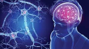Differential diagnosis of suspected multiple sclerosis: Living With And Managing Multiple Sclerosis