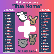 Many people experience this at some point in their lives. Pet Drugs Online On Twitter What S Your Fur Friend S True Name Petname Pets