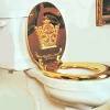 The lid is centered very well over the seat and gives a uniform slope appearance like a one piece object, and the lid is level to the seat, which makes a huge visual difference in the rich, elegant look of the seat compared to my old cheap toilet seat. Https Encrypted Tbn0 Gstatic Com Images Q Tbn And9gcshtytqvtzfujo7arhglk1fh3mcu 7ndczicvsyw1e Usqp Cau