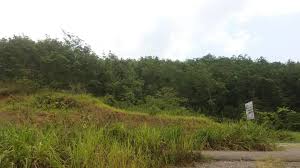 Click use type to view details of each listing. Land For Sale Sabah Malaysia Home Facebook
