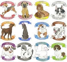 Zodiac Dogs Zodiac Signs Zodiac Signs Animals Zodiac Sagittarius
