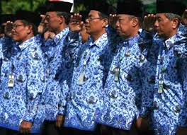 Hasil gambar untuk pns