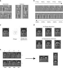 Representation of multiple objects in macaque category-selective areas |  Nature Communications