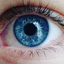 20 Ideas Photography Macro Eyes Colour For 2019 Eye Photography Beautiful Eyes Color Blue Eyes Aesthetic