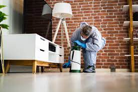 Villalobos Pest Control | El Paso, TX | Pest Control Services, Pest Control  Company