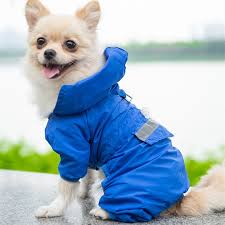 Find out about training, behavior, and care of shorkie dogs. Dog Raincoat Reflective Pet Clothes Dog Clothing Waterproof Jumpsuit Jacket Yorkie Poodle Bichon Pomeranian Schnauzer Corgi Coat 10 99 Koajoa Com