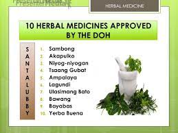 Herbal Medicine 10 Herbal Medicines Approved By The Doh S A N T A L U B B Y 1 2 3 4 5 6 7 8 9 10 Sambong Herbal Medicine Herbalism Healing Herbs