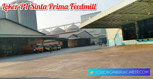 Lowongan kerja pt indokuat sukses makmur. Lowongan Kerja Pt Sinta Prima Feedmill Sma Smk D3 S1 Lowongankerjacareer Com