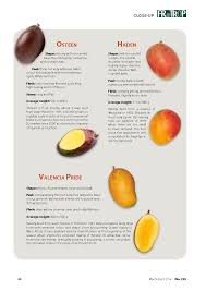 The main mango varieties