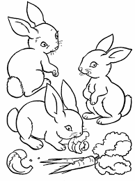 2000 x 2000 jpeg 120 кб. Rabbits Coloring Pages Realistic Bunny Coloring Pages Farm Animal Coloring Pages Free Kids Coloring Pages