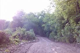 Cactus canyon campground is the largest men's campground in the united states, on 720 acres with both rv sites, improved tent sites and primitive campsites available. Top Lgbt Camping Spots In The U S Ellgeebe