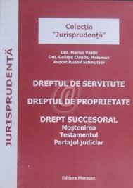 Energetica Mondiala In Perspectiva Sfarsitului De Mileniu Books Perspectivă Cărți Scris