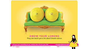 Consultation citoyenne sur la proposition de stratégie décennale de lutte contre les cancers. Apprendre A Depister Le Cancer Du Sein Avec Des Citrons