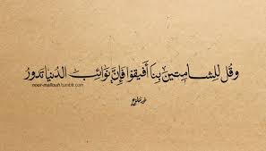 وقل للشامتين بنا أفيقوا فإن نوائب الدنيا تدور المتنبي Arabic Calligraphy Calligraphy Arabic