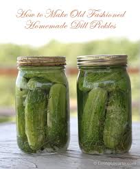 Refrigerator Dill Pickle Recipe How To Make Dill Pickles