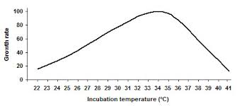 Incubation Temperature For Tempeh Fermentation