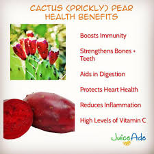 All have flat, fleshy pads that look some studies have shown that the pectin contained in the prickly pear pulp lowers levels of bad cholesterol while leaving good cholesterol. Juiceade Cactus Pear Aka Prickly Pear Is A Funky Looking Facebook