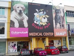 Randall imada to our hospital in april of 2017. Global Pets Medical Centre Mapio Net