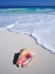 Can You Hear The Ocean Ready For A Beach Getaway Carribean Beach Beach Aesthetic Beach House Colors