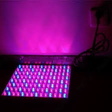 Two thousand watts of power is a fantastic middle ground for indoor grows. The 6 Best Led Grow Lights Of 2018