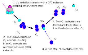 This ozone is actually forming a layer, something like a subdivision in the stratosphere, where it is dominant, and it is of huge importance for the life on the earth. Ozone Formation And Destruction