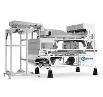 Garlic Color Sorter Machine